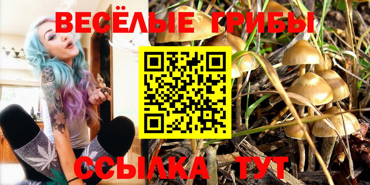 Псилоцибиновые грибы Magic Shrooms  Вход с VPN  купить   Дедовск 